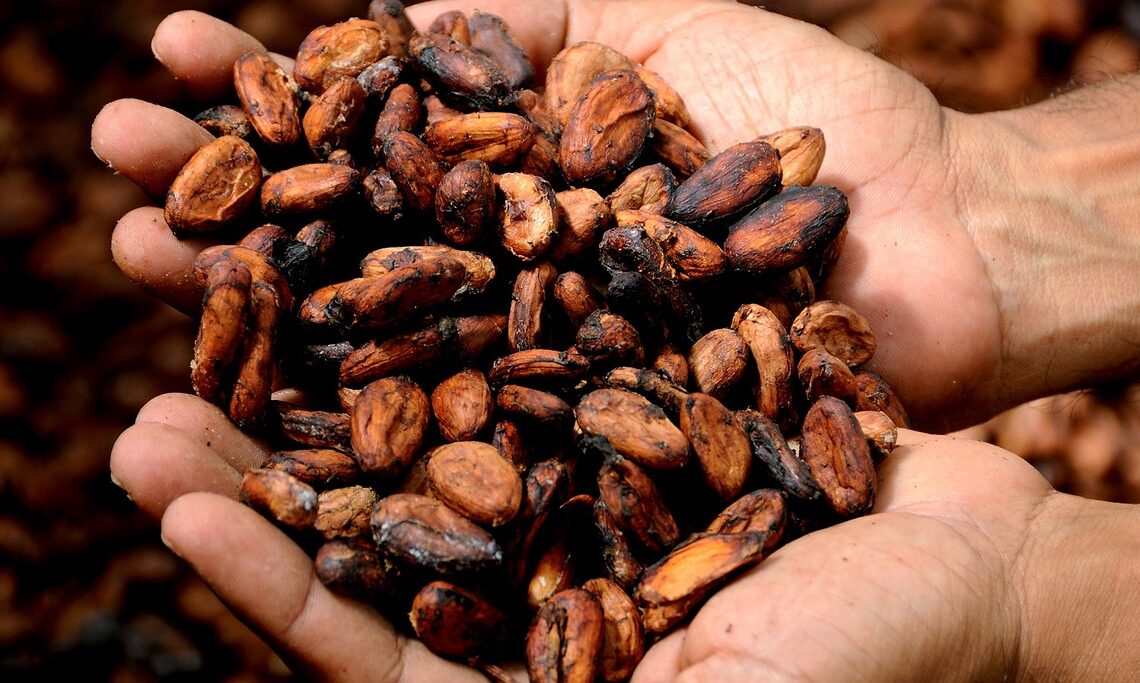 NPP Spokesman Exposes Cocoa Price Controversy